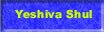 Yeshiva Shul